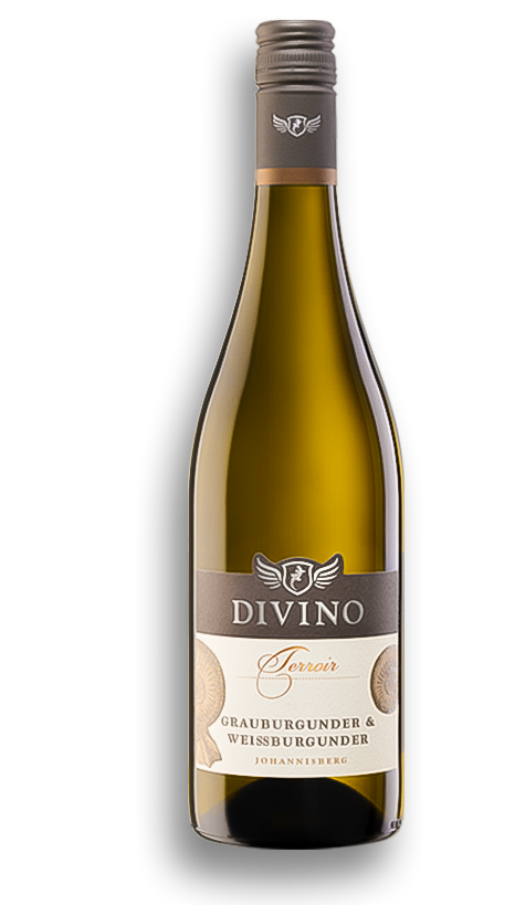 Divinio2